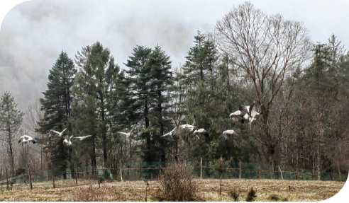 微信图片_20230328143137