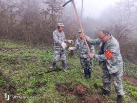 68c4ff83db6c45a506213284999ca34