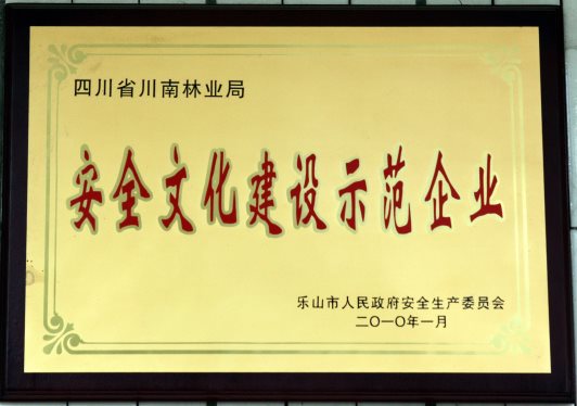 2010年安全文化建设示范企业