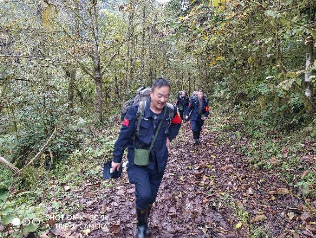 图片6.png 图片6.png