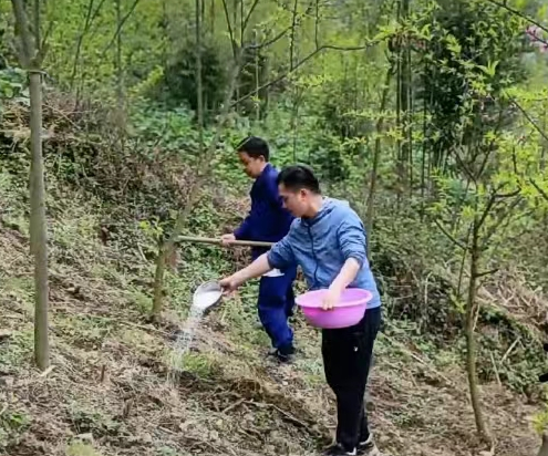 图片9.png 图片9.png