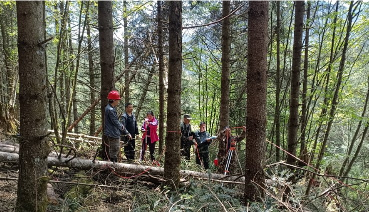 图片5.png 图片5.png